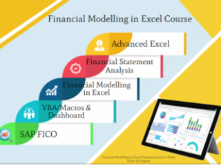 Financial Modeling Course in Delhi.110082. Best Online Live Financial Analyst Training in Srinagar by IIT Faculty , [ 100% Job in MNC]