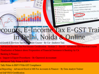 Accounting Course in Delhi, SLA "Learn Direct Tax Code 2025" 110060,