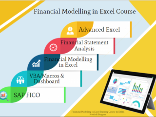 Financial Modeling Certification Course in Delhi, SLA 110011.